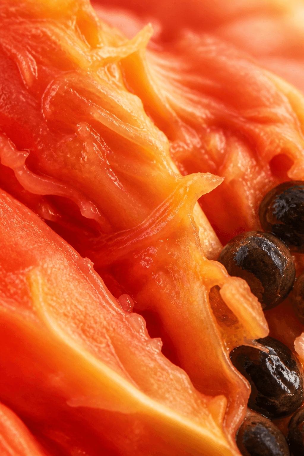 Macro of papaya flesh, wet and coral, almost a landscape